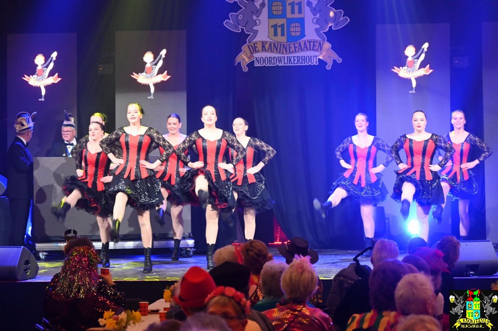 ../Images/Seniorencarnaval 2026 065.jpg